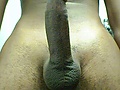 Filename=T_6598-6637.jpg
Filesize=153KB
Dimensions=480x640
Date added=Aug 15, 2010 T_6598-6637.jpg