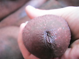 PIC_0008.JPG