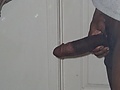 DLL902.jpg