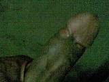 Image068.jpg