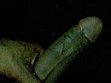 Image069.jpg
