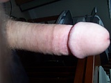 MY_COCK.jpg