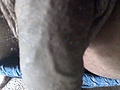 Filename=photo-1.jpg
Filesize=129KB
Dimensions=599x783
Date added=Sep 18, 2009 photo-1.jpg