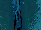 BluePussy.jpg