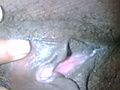 003.JPG