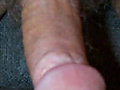 Filename=TTCock1.jpg
Filesize=13KB
Dimensions=143x240
Date added=Dec 05, 2010 TTCock1.jpg