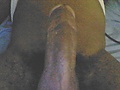 Filename=100820-012405.jpg
Filesize=110KB
Dimensions=800x600
Date added=Aug 20, 2010 100820-012405.jpg