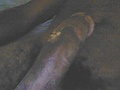 Filename=100820-012421.jpg
Filesize=102KB
Dimensions=800x600
Date added=Aug 20, 2010 100820-012421.jpg