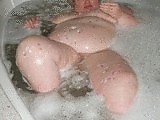 151197510.jpg