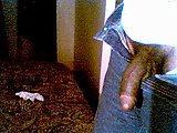 Picture_9.jpg