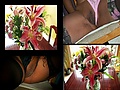 Filename=191.jpg
Filesize=99KB
Dimensions=800x600
Date added=Nov 18, 2009 191.jpg