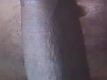 blacksnake3.jpg