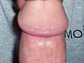 Picture_665.jpg