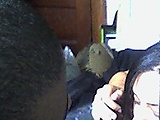 Snapshot_20090525_7.jpg