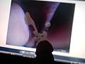 Filename=P161210_15_08.jpg
Filesize=409KB
Dimensions=1280x960
Date added=Jan 29, 2011 P161210_15_08.jpg