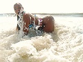 l_d9678e982a66b49ced622ee7731f9c23.jpg