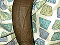Filename=19~4.jpg
Filesize=56KB
Dimensions=410x623
Date added=Nov 02, 2010 19~4.jpg