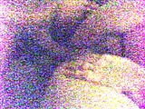 0109081043a.jpg