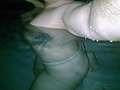 Filename=Image032.jpg
Filesize=361KB
Dimensions=1600x1200
Date added=Aug 06, 2010 Image032.jpg
