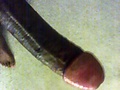 Filename=GP.jpg
Filesize=130KB
Dimensions=400x477
Date added=Dec 27, 2009 GP.jpg