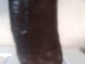 Filename=myman.jpg
Filesize=51KB
Dimensions=759x1598
Date added=May 04, 2009 myman.jpg