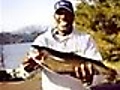 fish.jpg