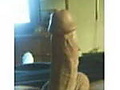 Filename=tn.jpg
Filesize=3KB
Dimensions=150x150
Date added=May 11, 2010 tn.jpg