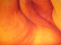DSCI0043.JPG