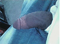 Filename=photo-ffadult-i-r40-s1-149877923_71061_46465728_55_main.gif
Filesize=10KB
Dimensions=300x224
Date added=Aug 28, 2010 photo-ffadult-i-r40-s1-149877923_71061_46465728_55_main.gif