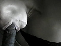 Snapshot_4_(3-26-2012_1-50_PM).jpg