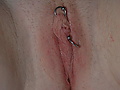 Filename=1170086177.jpg
Filesize=209KB
Dimensions=1360x1964
Date added=Jul 07, 2008 1170086177.jpg