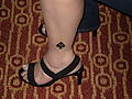 Filename=3384897505.jpg
Filesize=450KB
Dimensions=1024x768
Date added=Jun 09, 2009 3384897505.jpg