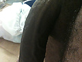 Filename=767470701.jpg
Filesize=280KB
Dimensions=500x667
Date added=Dec 20, 2011 767470701.jpg