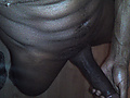 Filename=zxc687.jpg
Filesize=618KB
Dimensions=768x1024
Date added=Nov 06, 2010 zxc687.jpg