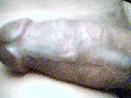 Filename=Picture_17.jpg
Filesize=33KB
Dimensions=320x240
Date added=Nov 03, 2010 Picture_17.jpg