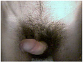 Filename=2.png
Filesize=111KB
Dimensions=263x201
Date added=Jun 27, 2010 2.png