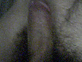 Filename=4.png
Filesize=88KB
Dimensions=206x193
Date added=Jun 27, 2010 4.png