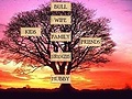 Cuckold_Tree.jpg