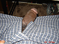 Filename=745188808_0539b18c96.jpg
Filesize=137KB
Dimensions=500x333
Date added=Jul 31, 2010 745188808_0539b18c96.jpg