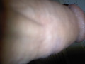 Filename=0127111625a.jpg
Filesize=350KB
Dimensions=2048x1536
Date added=Oct 04, 2011 0127111625a.jpg