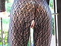 P1010020~2.JPG