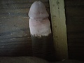 IMG00003-20100712-1356.jpg