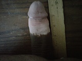 IMG00003-20100712-1356.jpg