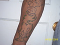 smoke_s_pic_s_057~0.JPG