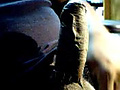 dick.jpg