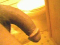 230.jpg