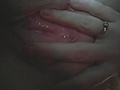 Filename=2198444-M-1.jpg
Filesize=10KB
Dimensions=320x240
Date added=Sep 13, 2010 2198444-M-1.jpg