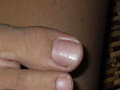 1a926e654a3887fbb9454fa028b238fdd1b52d44.JPG
