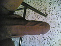 Filename=11252007(003).jpg
Filesize=287KB
Dimensions=1280x960
Date added=Nov 25, 2007 11252007(003).jpg