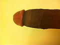 Filename=-7.jpg
Filesize=1815KB
Dimensions=2592x1936
Date added=Dec 27, 2010 -7.jpg